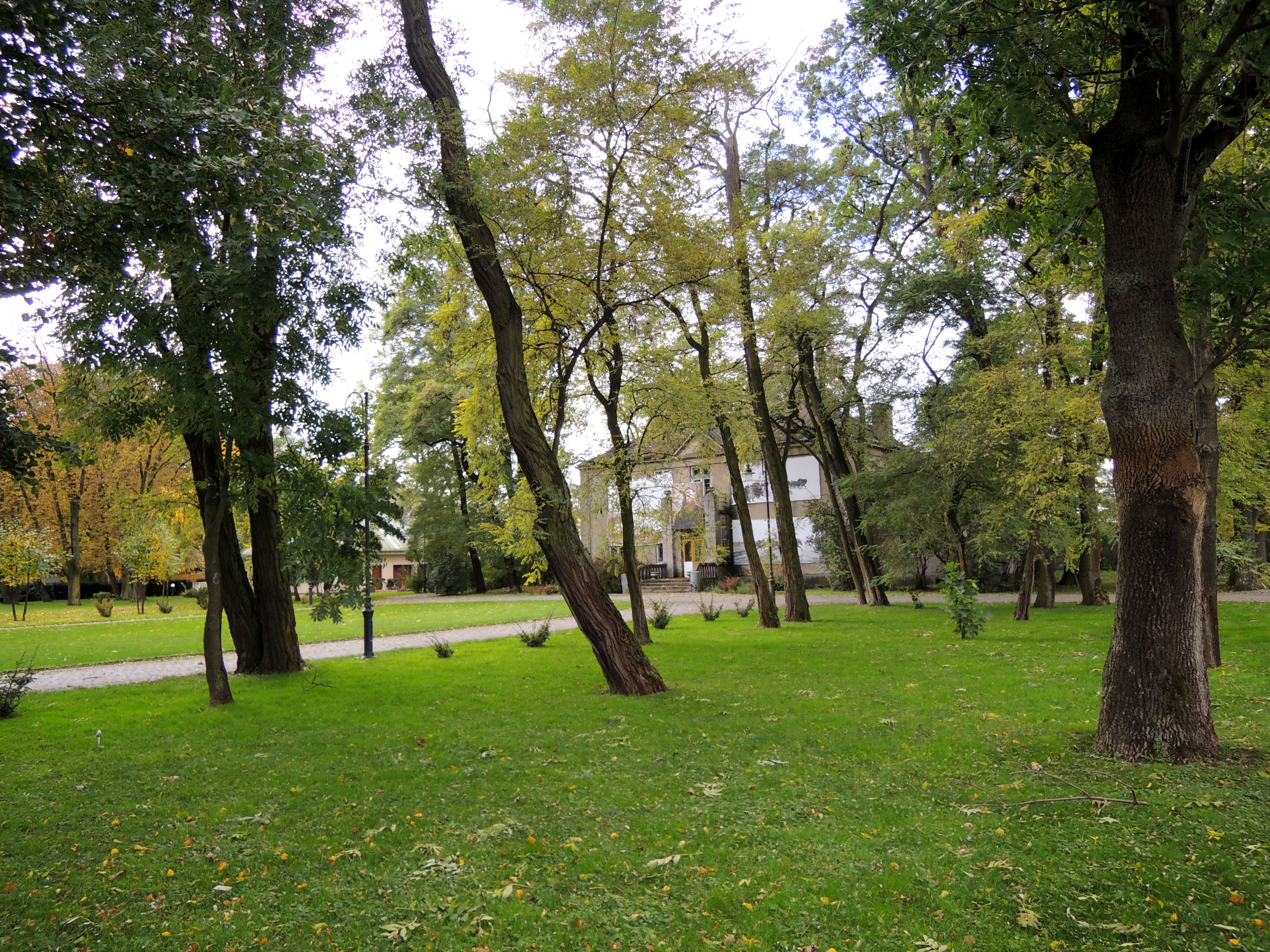 Dwór i park w Boczkach Chełmońskich